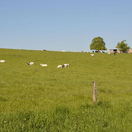 Renovated Farmhouse, Completely Furnished For Groups Of Up To 32 People *